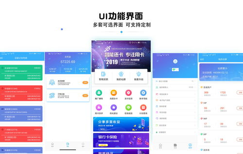代還還款App開發(fā)與西藏地區(qū)軟件服務貼牌合作指南